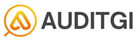 Auditgi